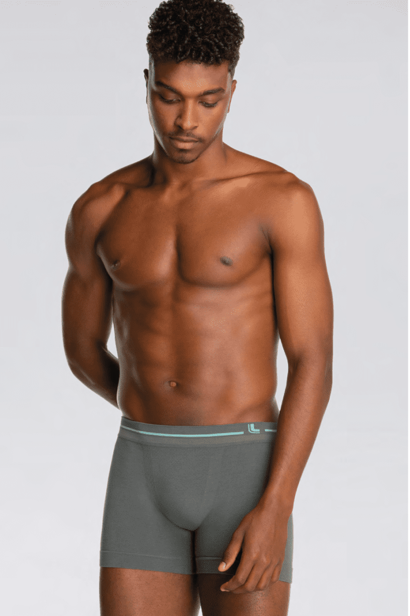 Boxer de Adulto